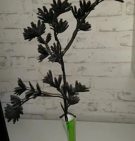 A.lambrecht * Oberhausen (North Rhine-Westphalia)