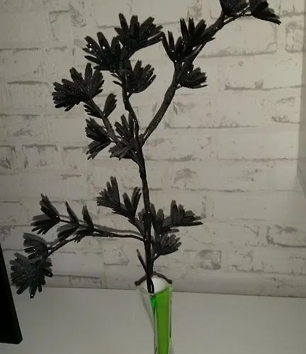 A.lambrecht * Oberhausen (North Rhine-Westphalia)